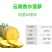 云南香水小菠萝新鲜应季水果批发整箱3/5/9斤非凤梨