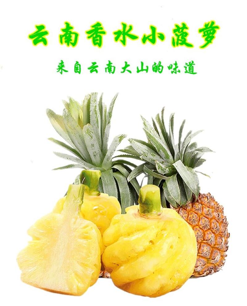 云南香水小菠萝新鲜应季水果批发整箱3/5/9斤非凤梨