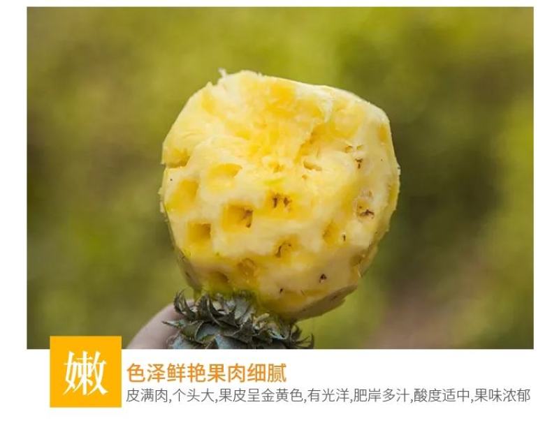 云南香水小菠萝新鲜应季水果批发整箱3/5/9斤非凤梨