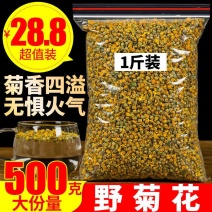 新茶野菊花散装包邮野菊米胎菊另有特级野生菊花茶