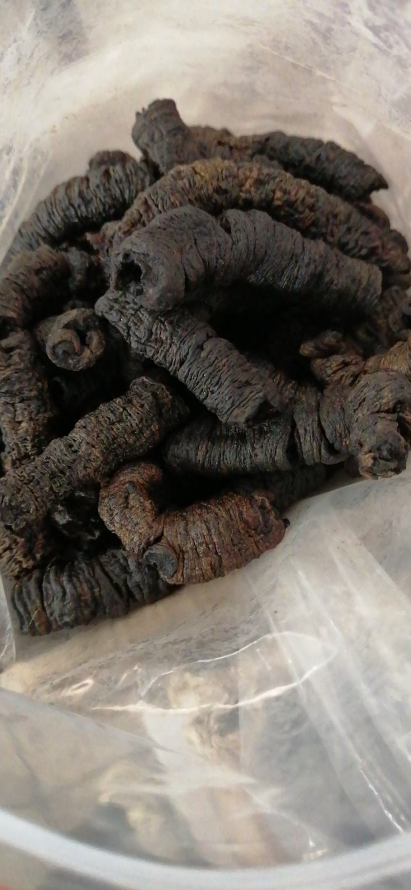 德庆巴戟新货
