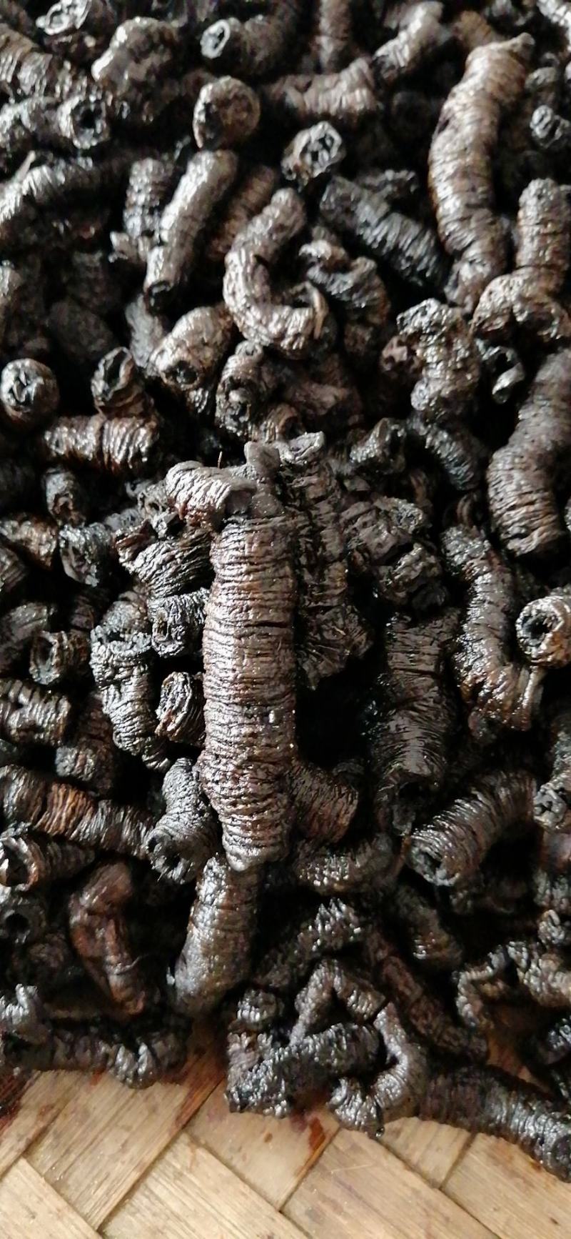 德庆巴戟新货