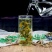 新疆野生罗布麻茶正宗特级罗布麻罗布麻茶叶