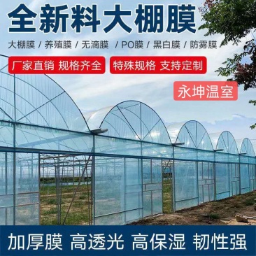 大棚薄膜精品PO膜长寿膜灌浆膜双防膜