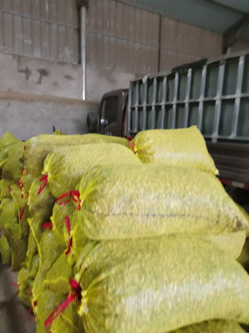 售鲜花生品质好，颗粒饱满。一手货源，超市电商批发市场。