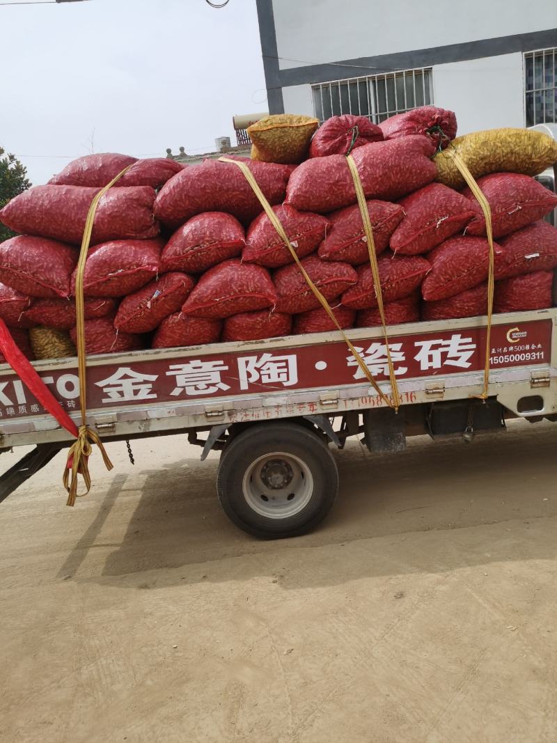 售鲜花生品质好，颗粒饱满。一手货源，超市电商批发市场。