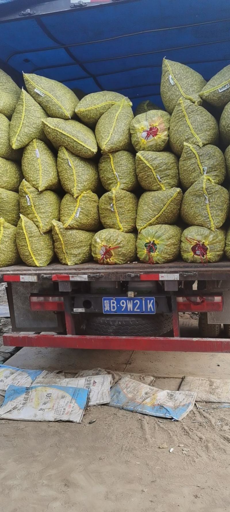 售鲜花生品质好，颗粒饱满。一手货源，超市电商批发市场。