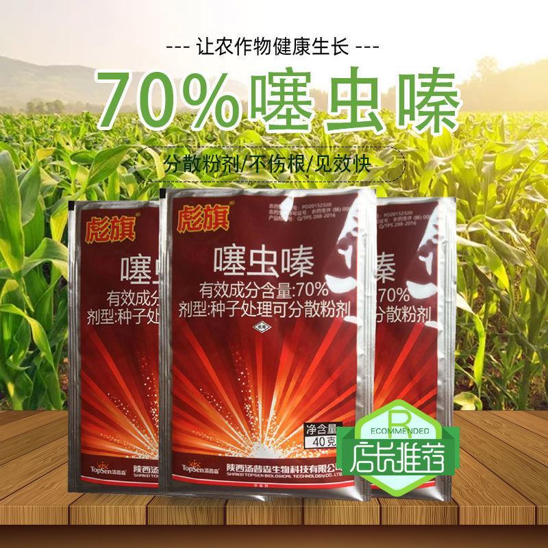 彪旗科信70%噻虫嗪玉米灰飞虱正品农药杀虫剂