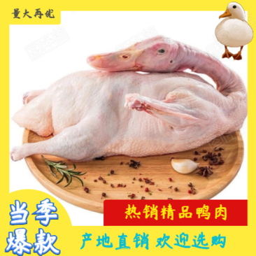 【包邮-4.8斤鸭肉】热销农家散养2只合4.8斤土鸭鸭肉