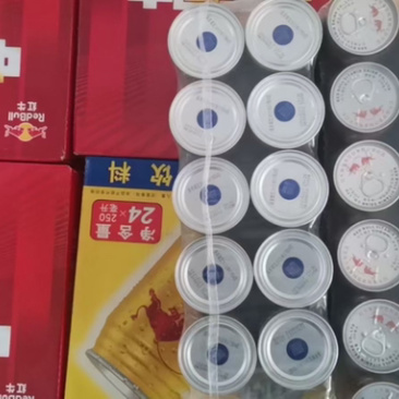 红牛维生素功能型饮料