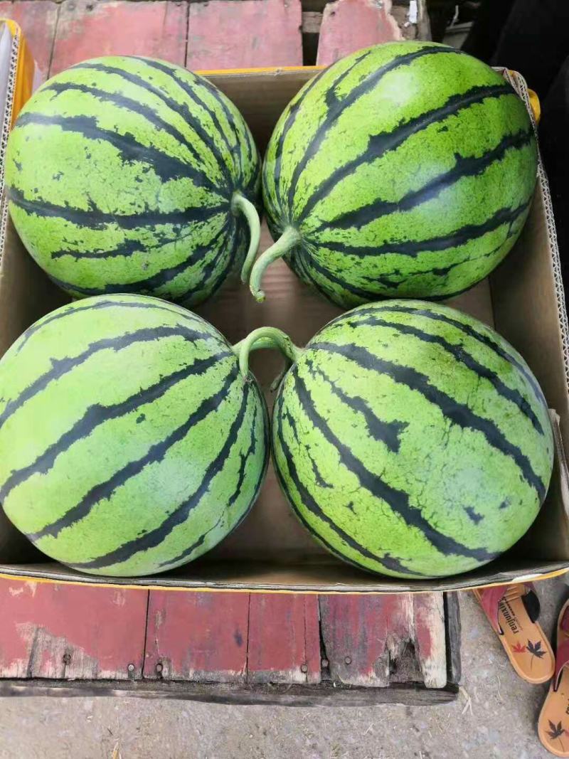 西瓜。有各种各样的品种。8斤打底。电商美团直供。