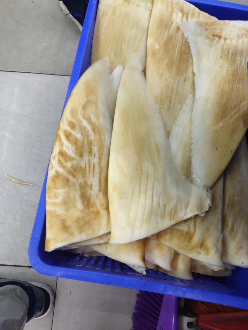 鱼翅批发！少量大茶勾！