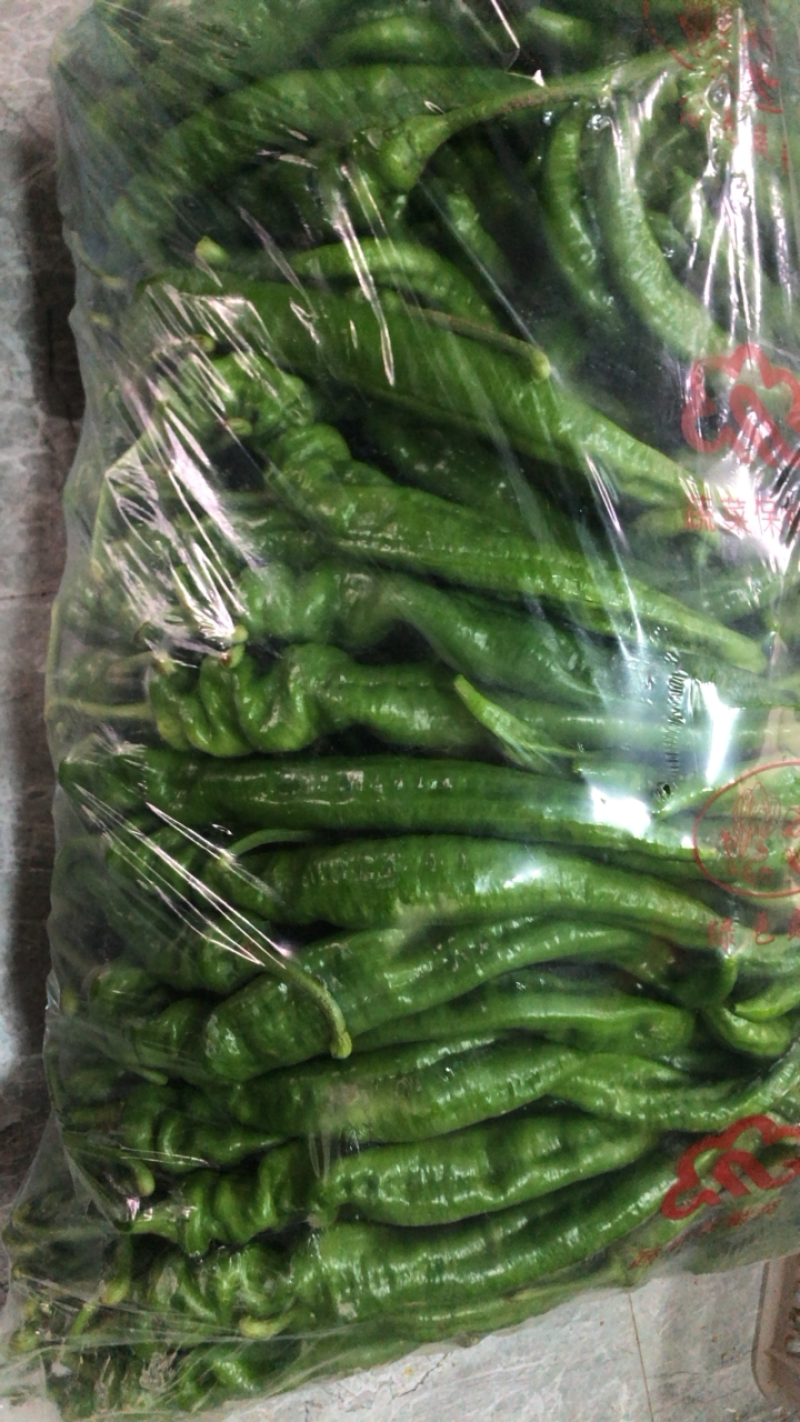 高原夏菜，精品螺丝椒，欢迎咨询，品质保证