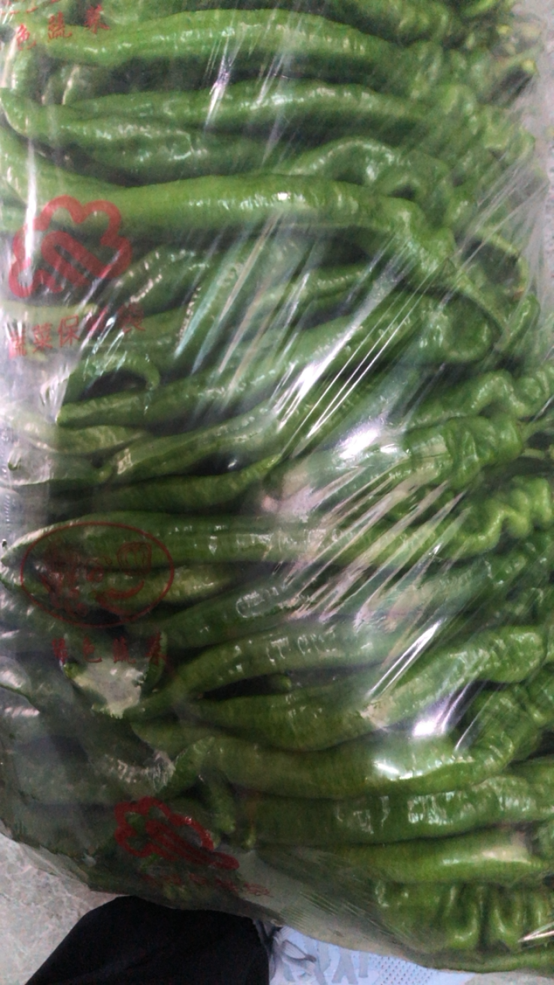 高原夏菜，精品螺丝椒，欢迎咨询，品质保证