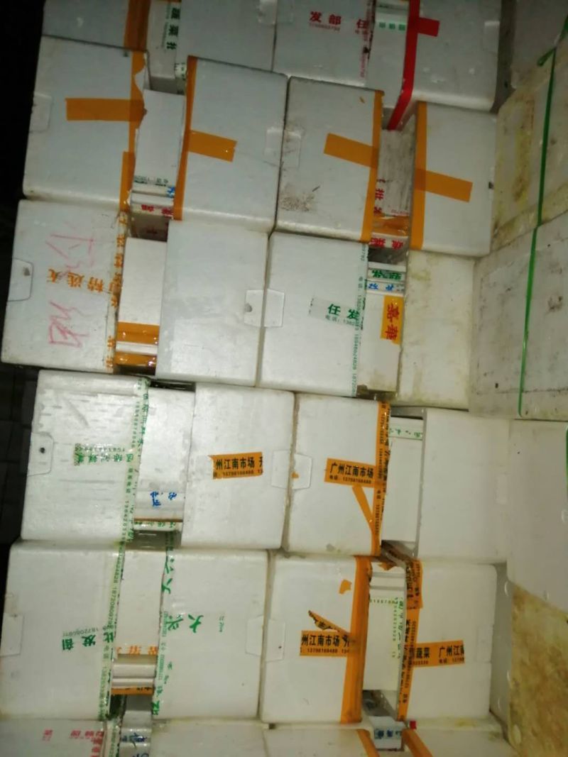 专业整车泡沫箱，可发华南，华中，华北以南等地区。