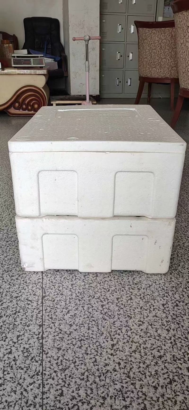 专业整车泡沫箱，可发华南，华中，华北以南等地区。
