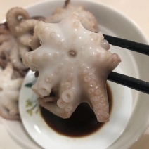 一亩田专供翻花去脏八爪鱼专供各大商超