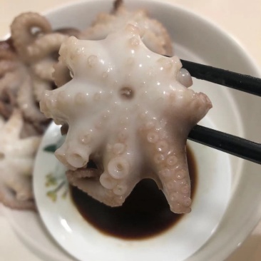 一亩田专供翻花去脏八爪鱼专供各大商超
