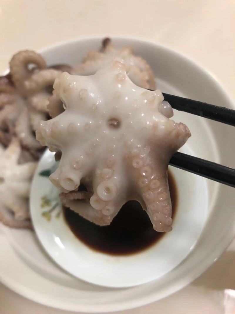 一亩田专供翻花去脏八爪鱼专供各大商超