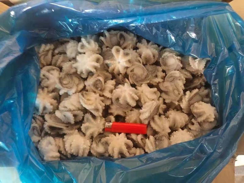 一亩田专供翻花去脏八爪鱼专供各大商超