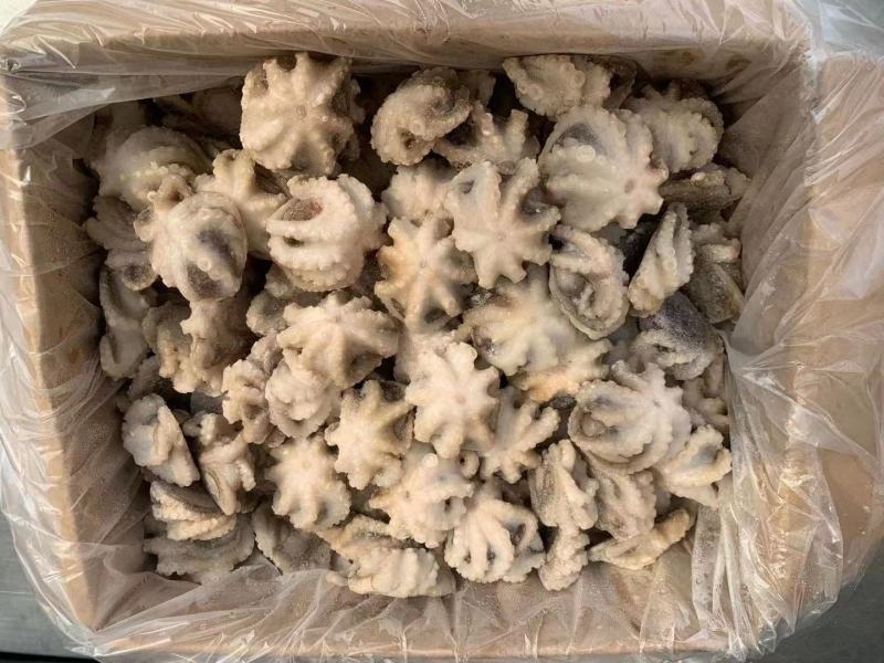 一亩田专供翻花去脏八爪鱼专供各大商超