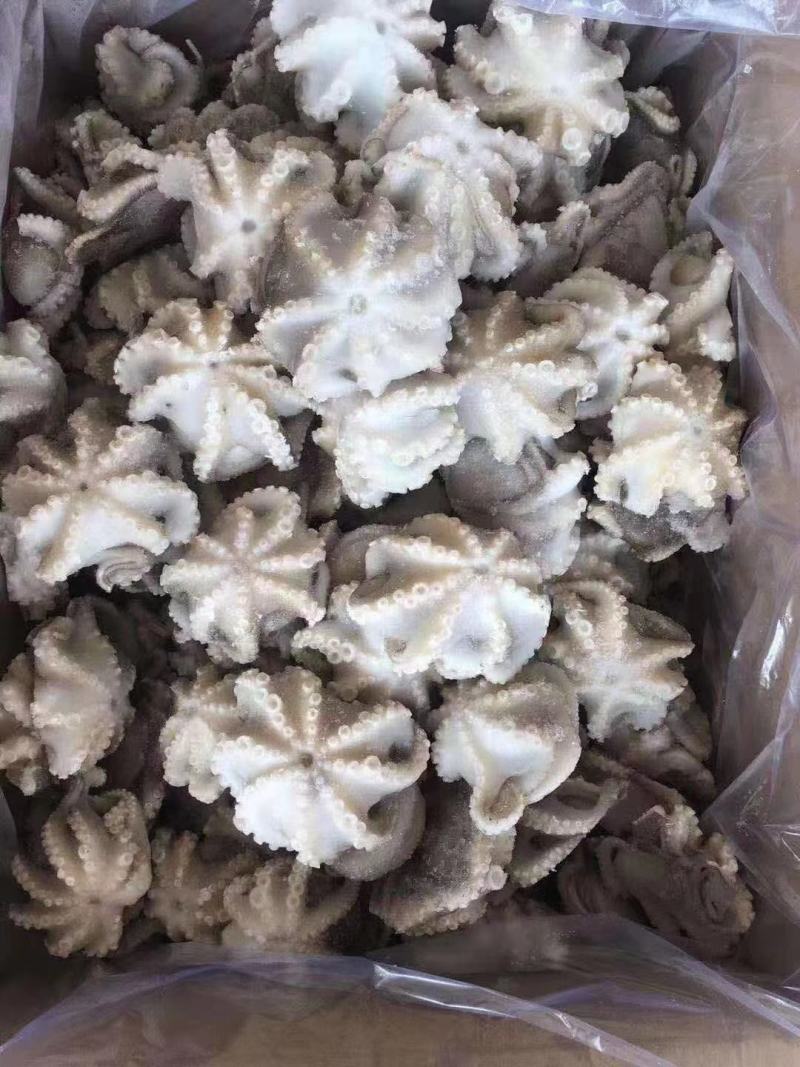 一亩田专供翻花去脏八爪鱼专供各大商超