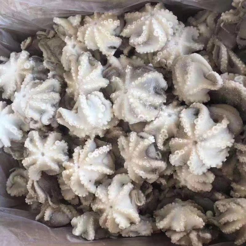 一亩田专供翻花去脏八爪鱼专供各大商超