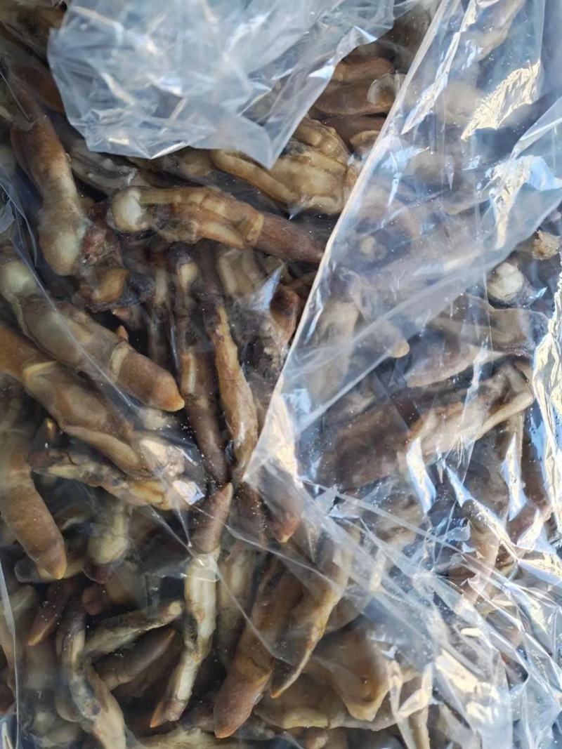 开嘴蛏子肉，供应全国各大酒店商超量大从优