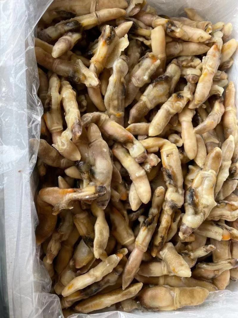 开嘴蛏子肉，供应全国各大酒店商超量大从优