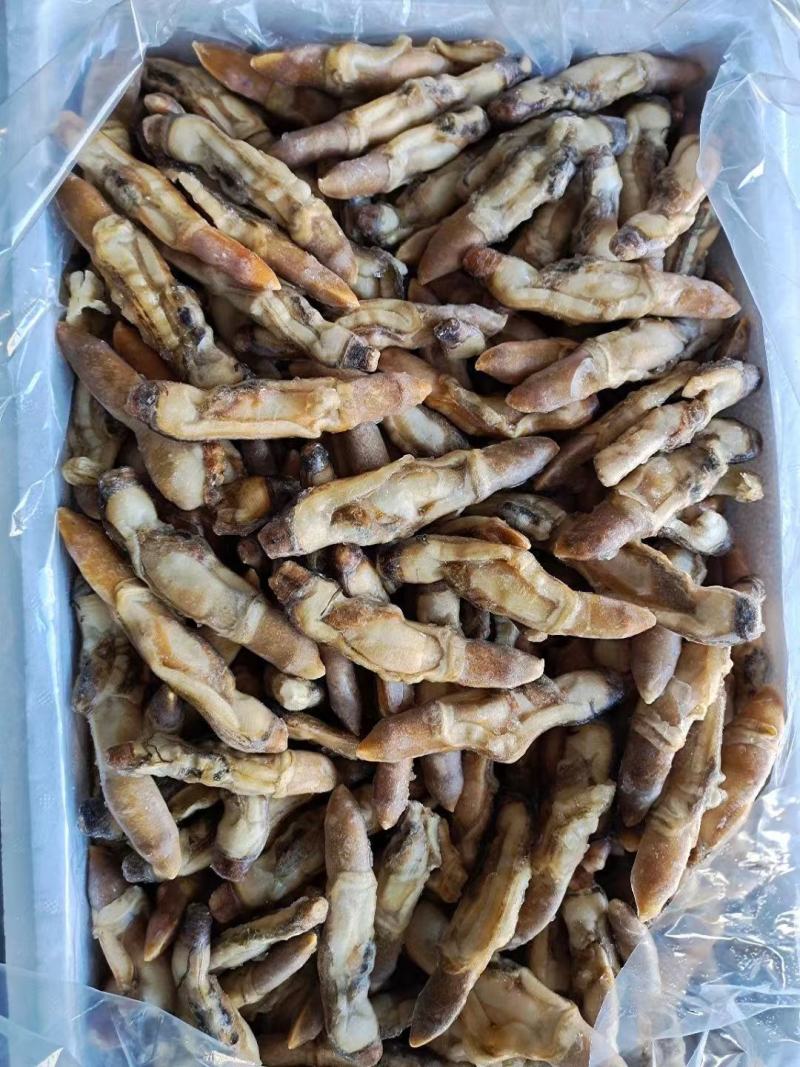 开嘴蛏子肉，供应全国各大酒店商超量大从优
