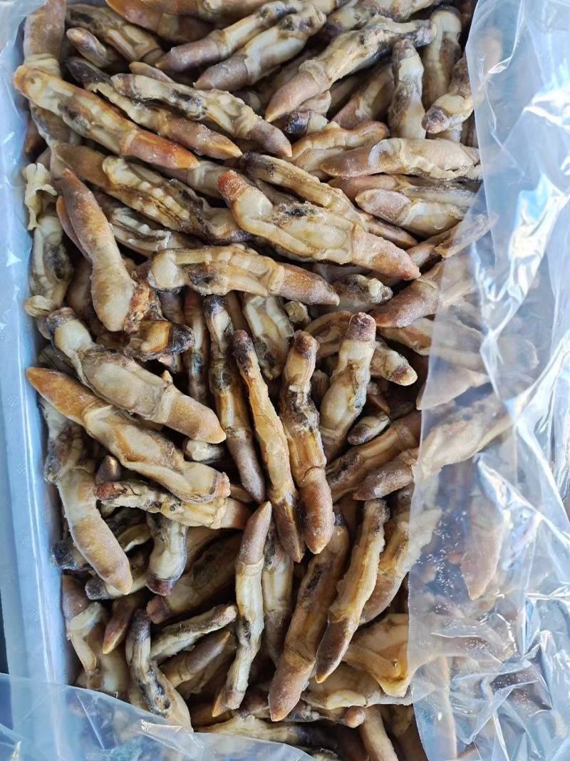 开嘴蛏子肉，供应全国各大酒店商超量大从优