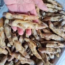 开嘴蛏子肉，供应全国各大酒店商超量大从优