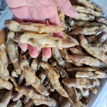开嘴蛏子肉，供应全国各大酒店商超量大从优