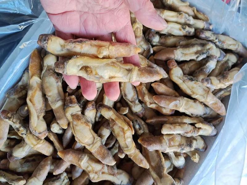 开嘴蛏子肉，供应全国各大酒店商超量大从优