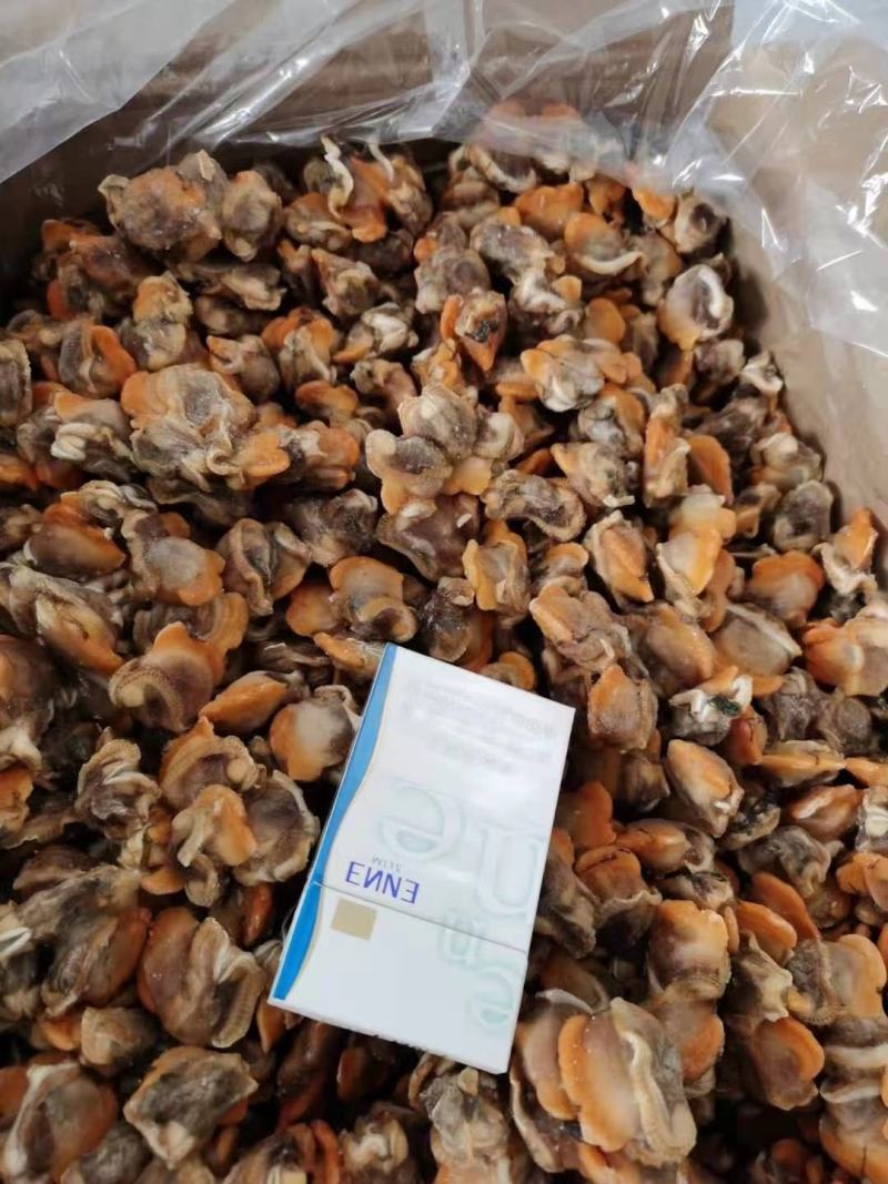 赤贝肉专供全国各大酒店商超量大从优货源充足