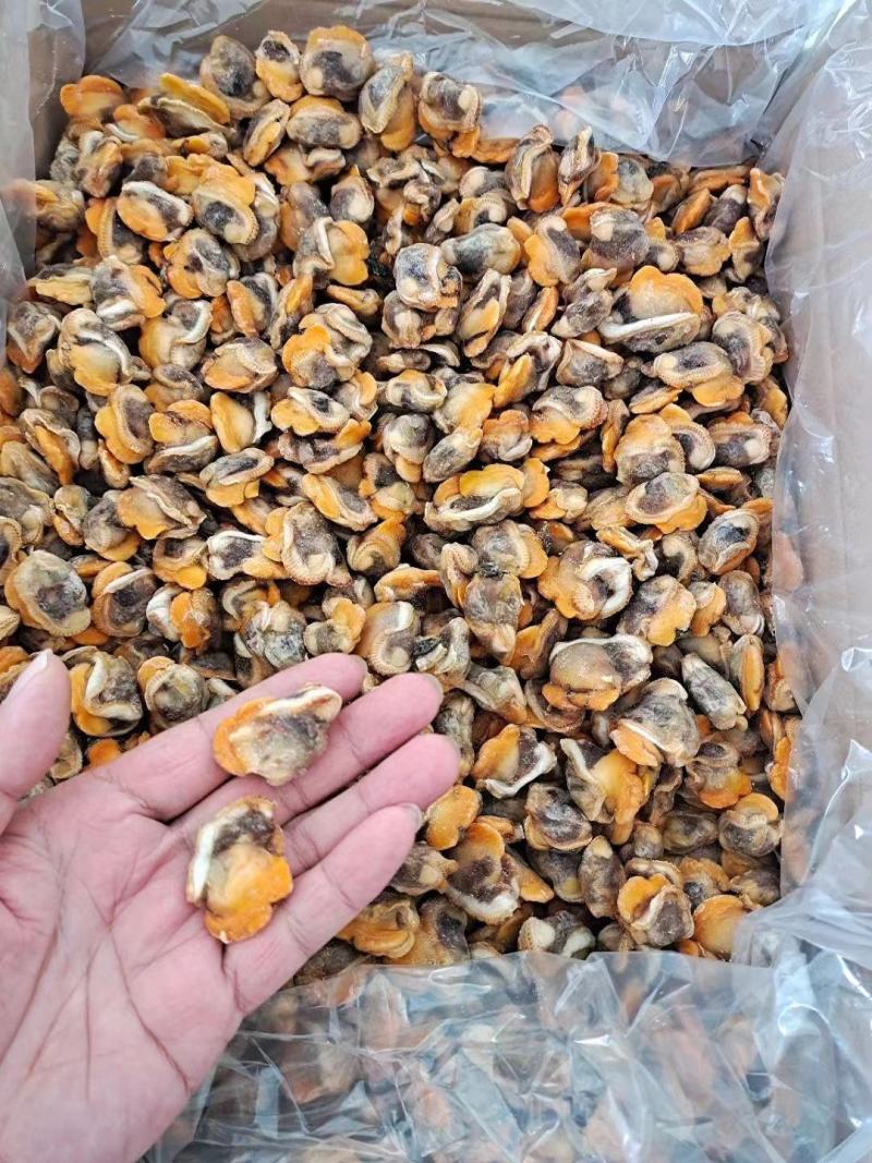 赤贝肉专供全国各大酒店商超量大从优货源充足