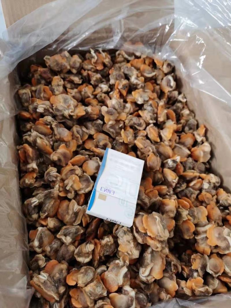 赤贝肉专供全国各大酒店商超量大从优货源充足