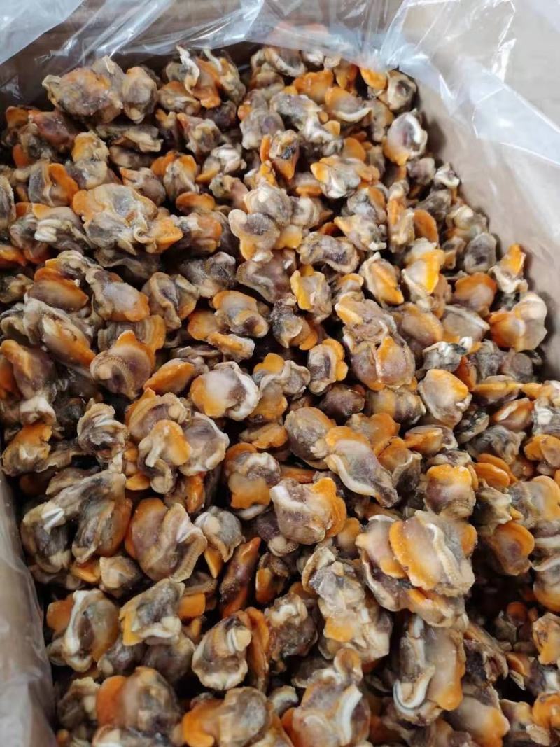 赤贝肉专供全国各大酒店商超量大从优货源充足