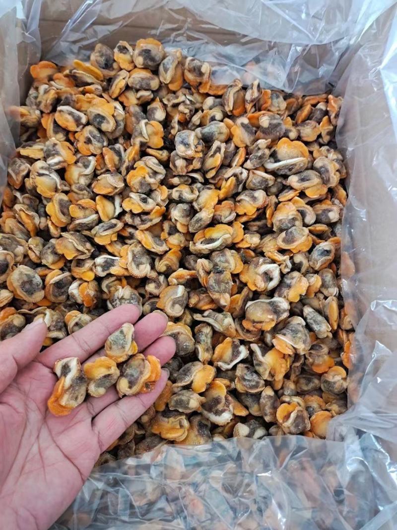 赤贝肉专供全国各大酒店商超量大从优货源充足