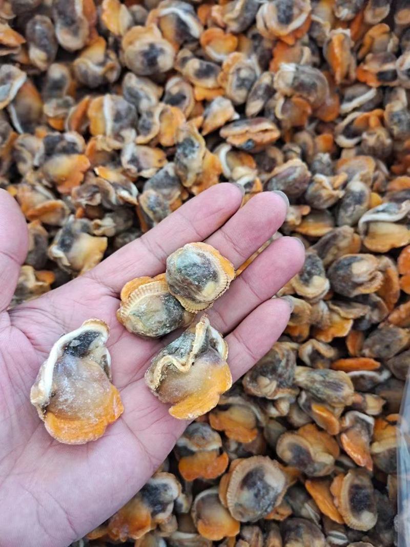 赤贝肉专供全国各大酒店商超量大从优货源充足