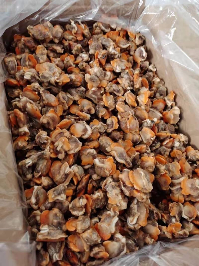 赤贝肉专供全国各大酒店商超量大从优货源充足