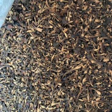 鸡枞菌大量批发，需要的老板联系
