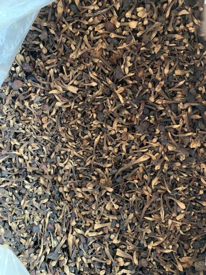鸡枞菌大量批发，需要的老板联系