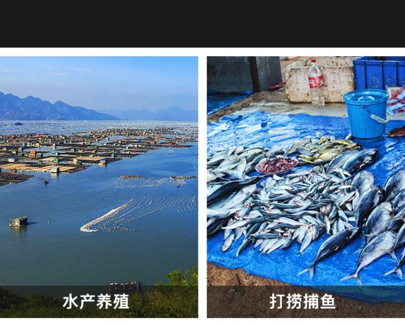 全新牛筋料渔船厂家批发撒料铺网钓鱼船2-4.5米冲锋舟