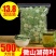 微山湖荷叶茶纯干荷叶片新鲜荷叶特级正品荷叶泡茶