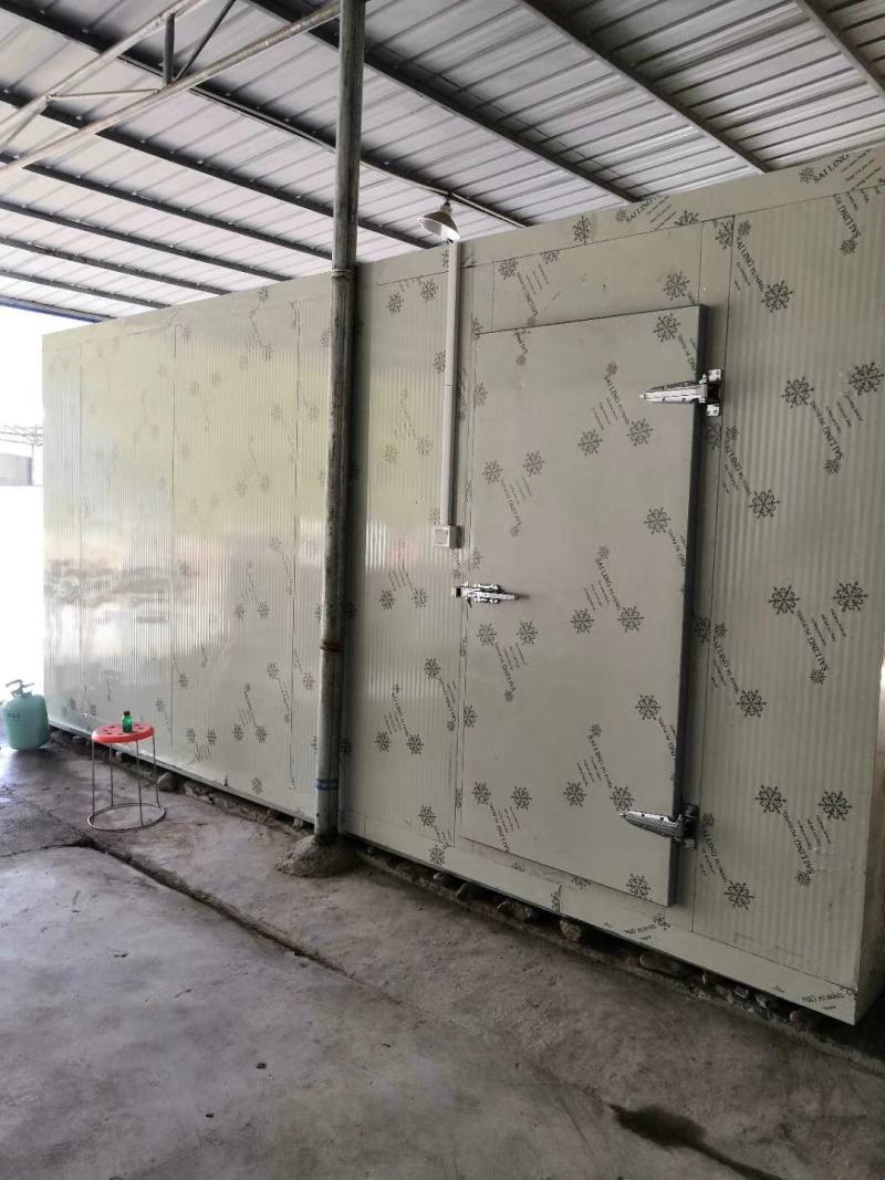 专业冷库设计，全套冷库设备安装，蔬菜水果专用
