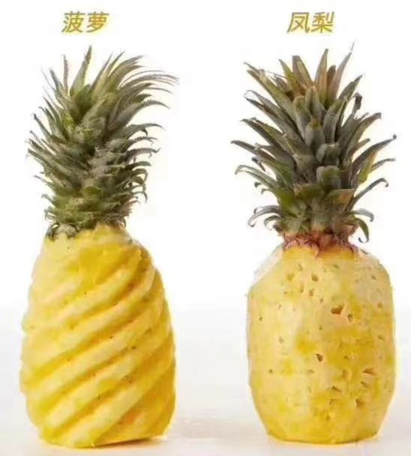 金钻凤梨！又甜又好吃！