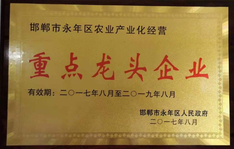 矿源黄腐酸钾全溶速溶活化土壤