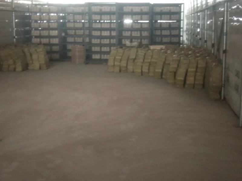 黑皮鸡枞菌包研发生产种植产品深加工
