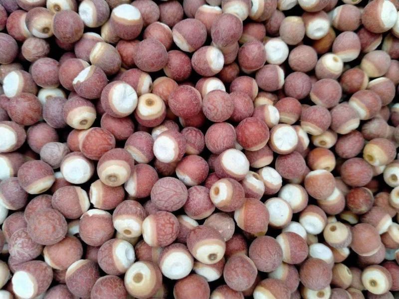 芡实芡实米芡实个芡实片鸡头米欠石